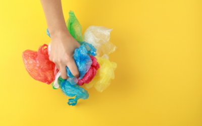 Del Supermercado a la Moda: Transformando Bolsas de Plástico Biodegradables en Tendencia