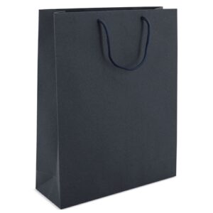 Bolsa de lujo 27x6x39 cartoncillo 180 grs